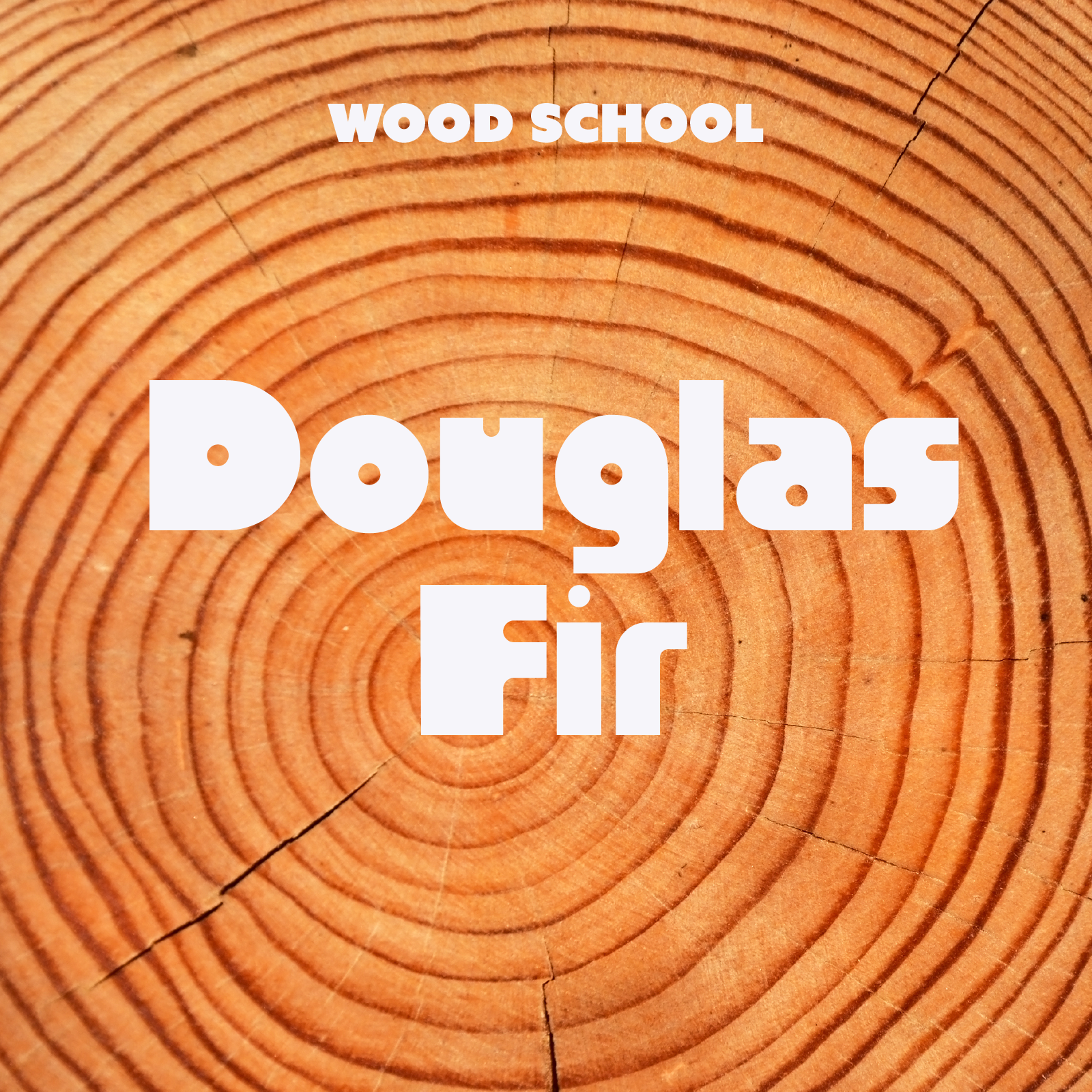 Douglas Fir