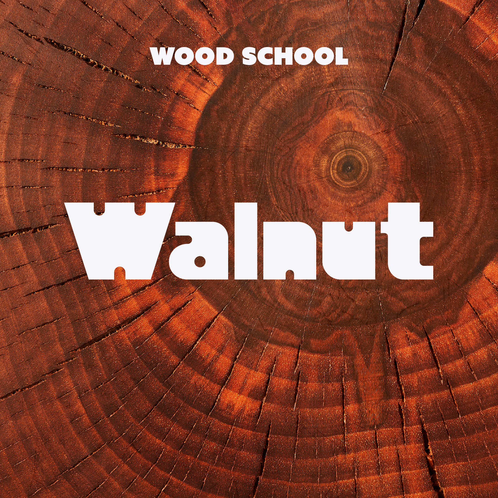 Walnut