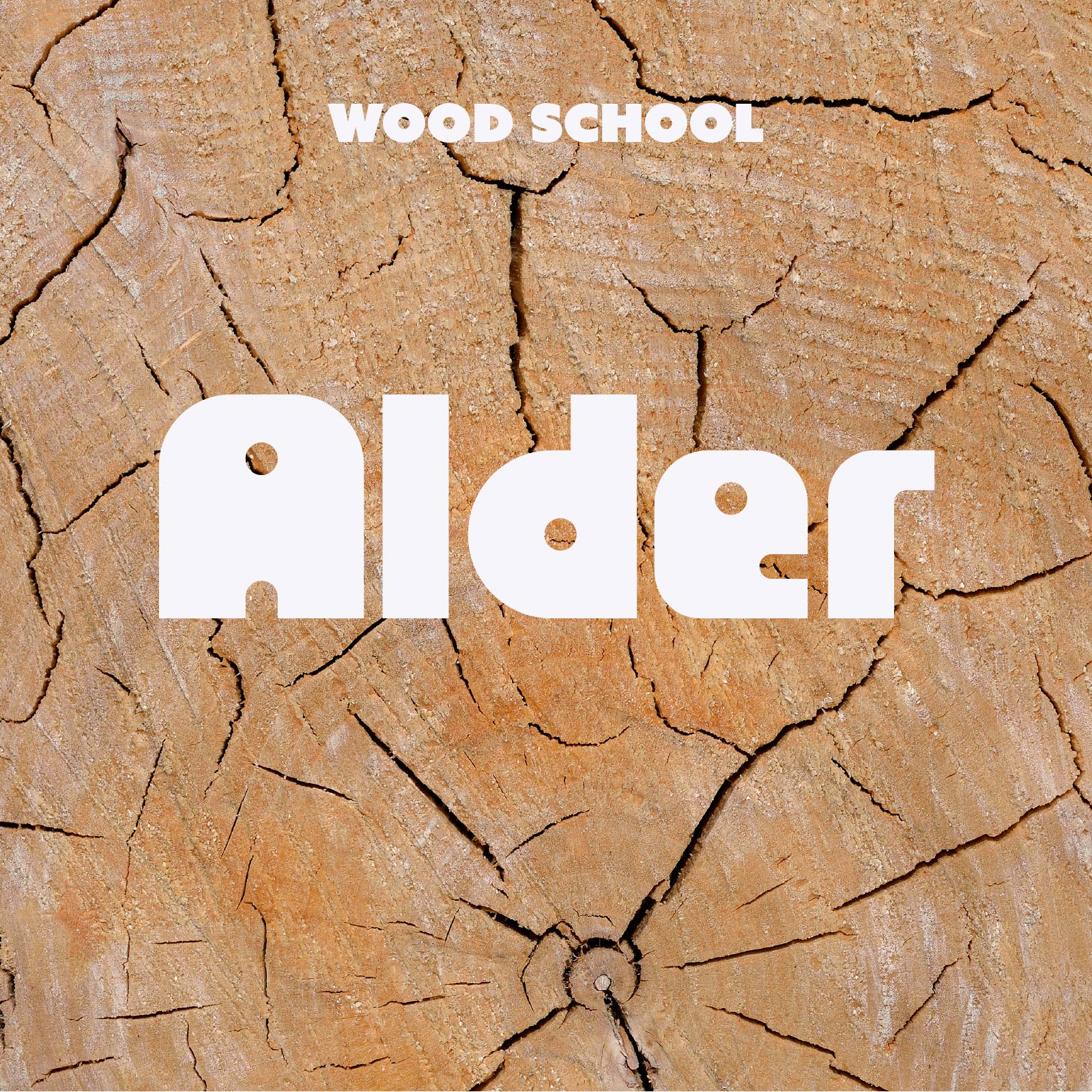 Alder