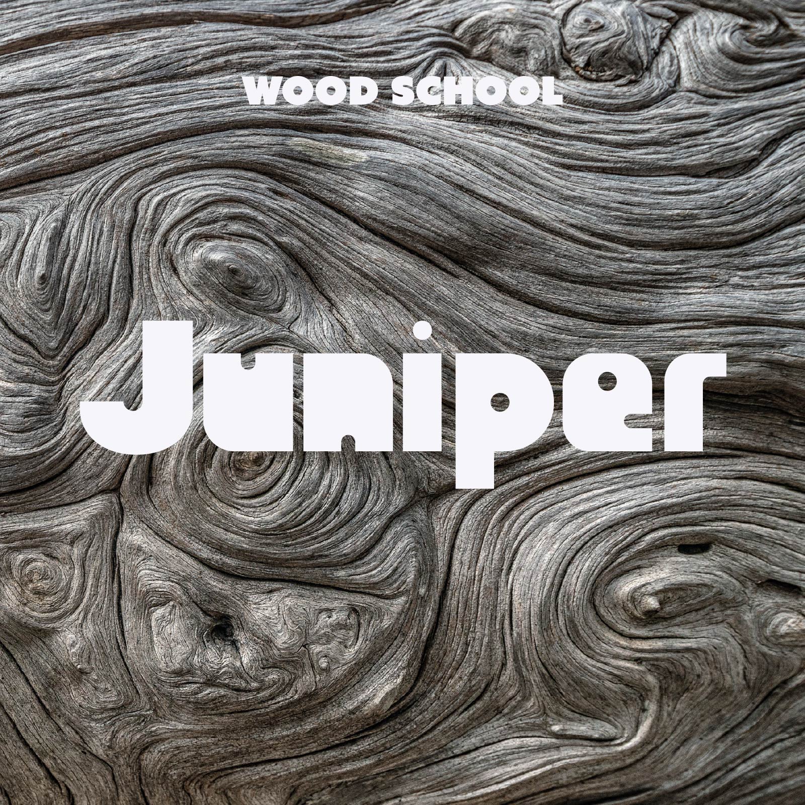 Juniper