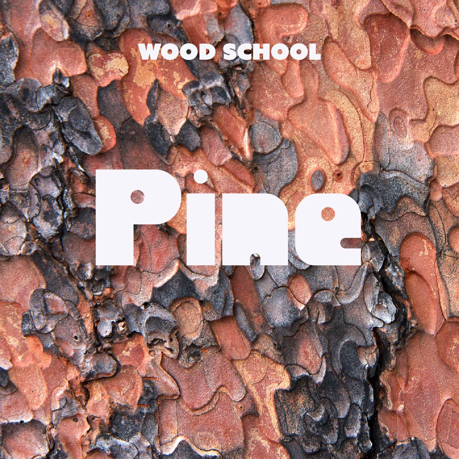 Pine