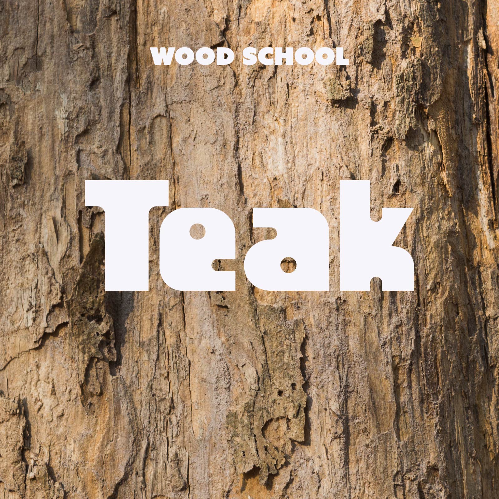 Teak