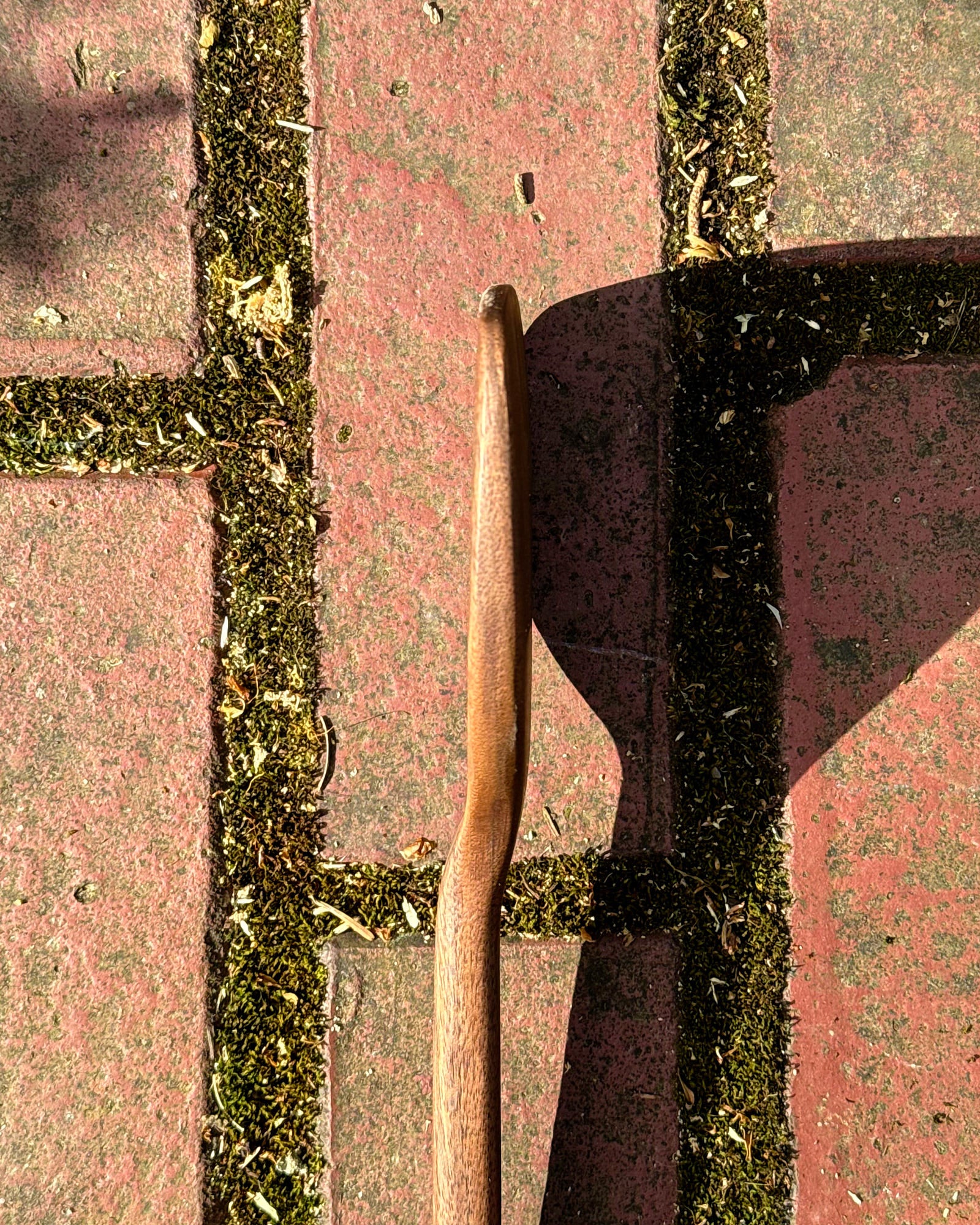 Everyday Spatula - Walnut