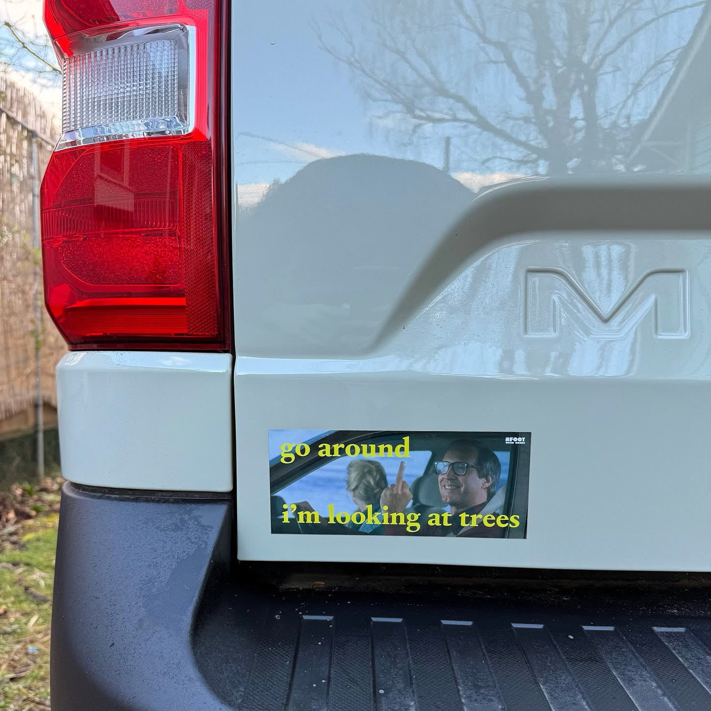 Go Around I'm Looking At Trees - Bumper Sticker